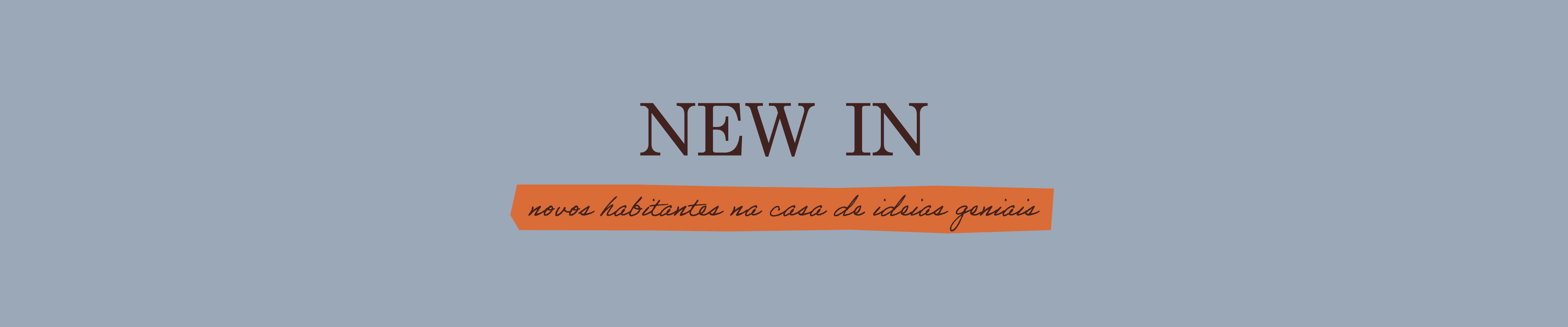 banner topo desktop newin
