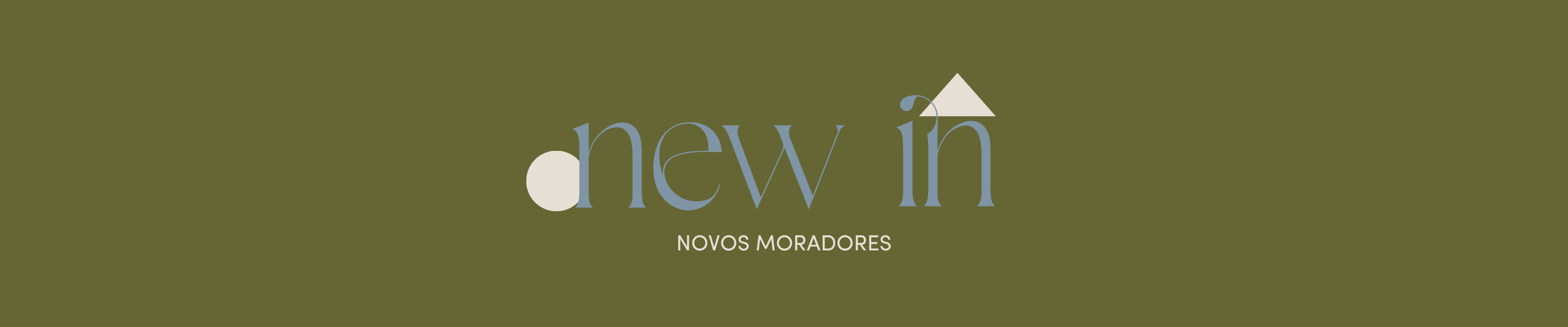 banner topo desktop newin